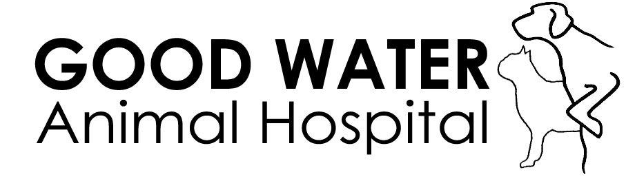 Good Water Animal Hospital