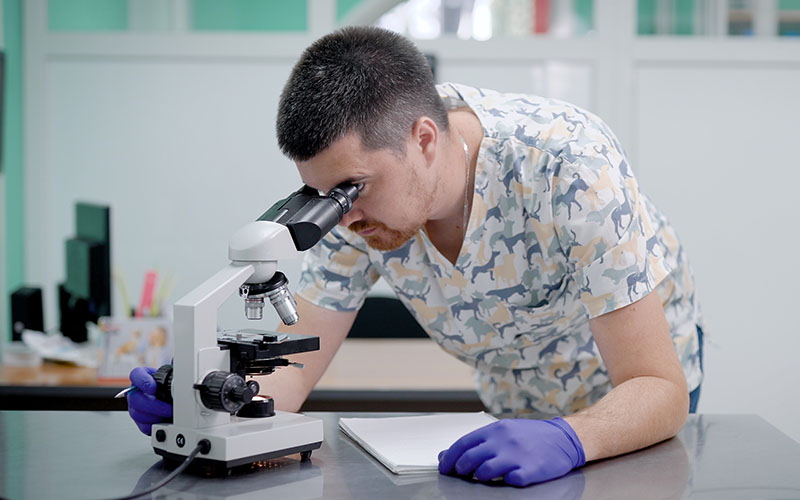 adult man veterinarian is examining analysis under microscope in a vet clinic, making notes on a notebook