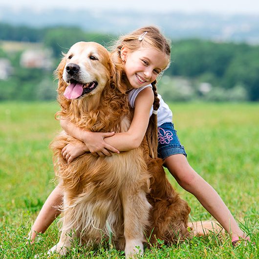 girl hugging golden in field in summer